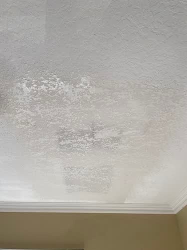Master Drywall Renovation job photo 27