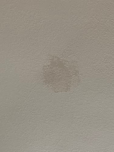 Master Drywall Renovation job photo 53